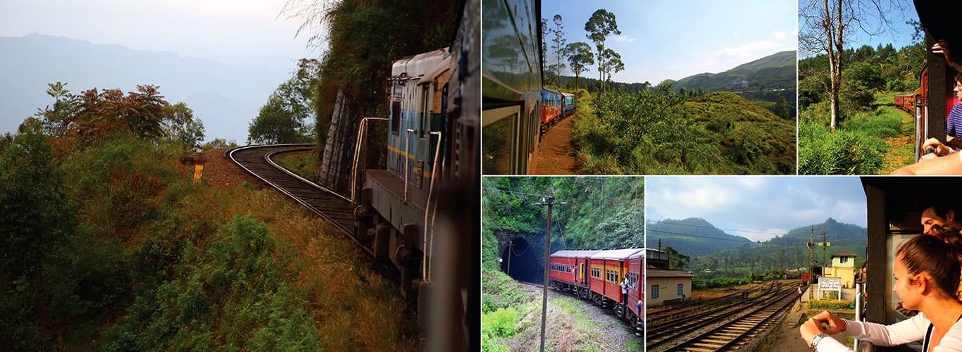 Scenic train journey to Ella on the Grand Discovery tour