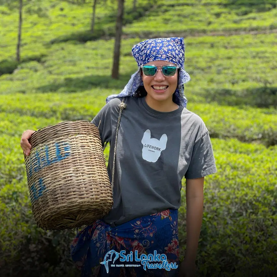 Tea country on a 14 day Sri Lanka holiday