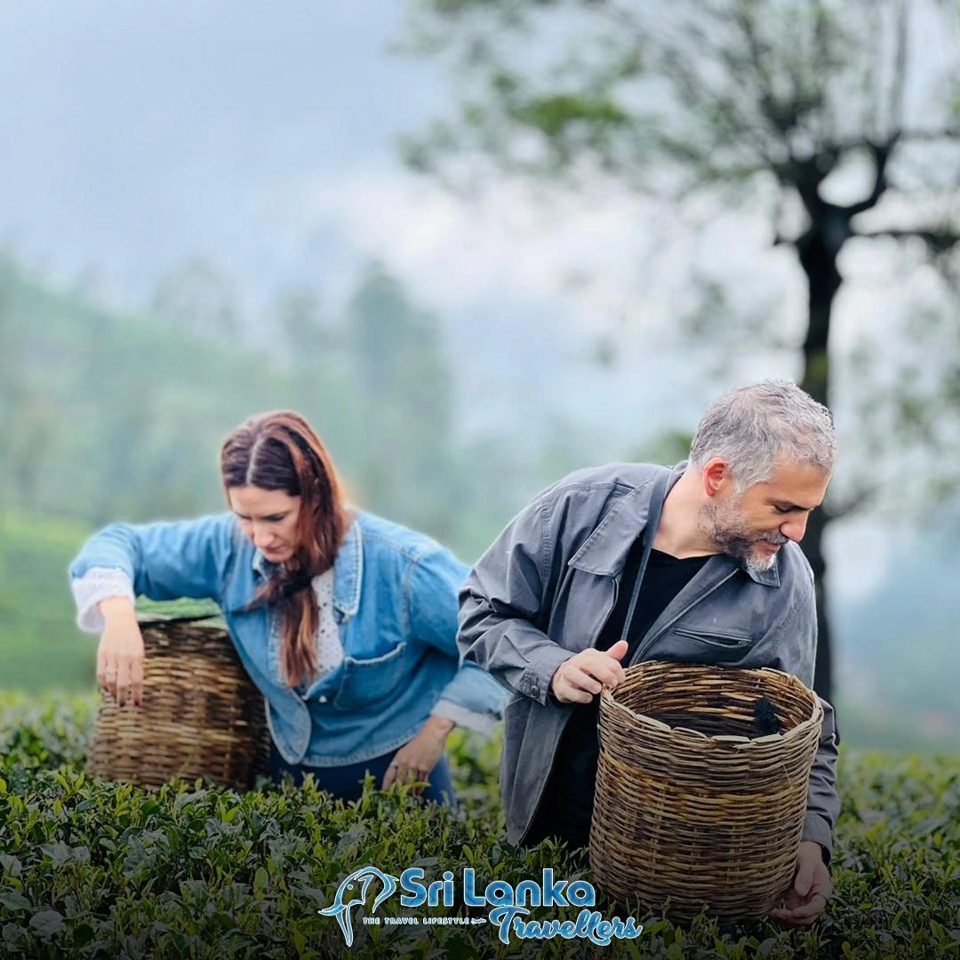 Couple visiting a tea plantation on a Sri Lanka honeymoon