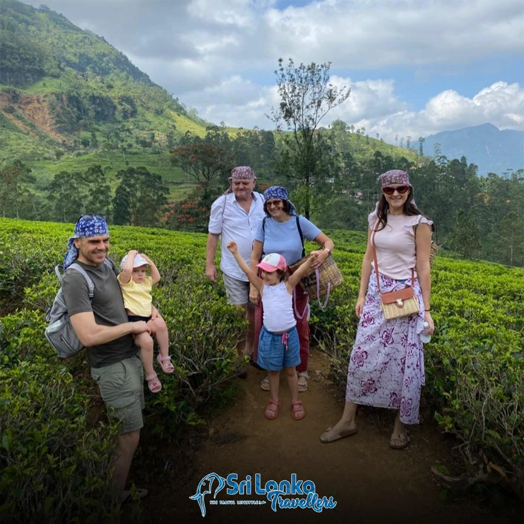 Guests in tea country on a custom Sri Lanka itinerary